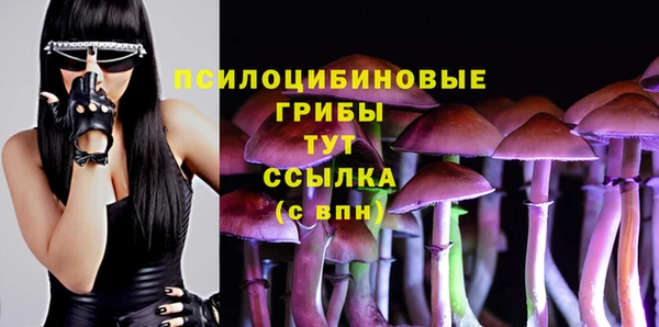 прущий лед Алзамай